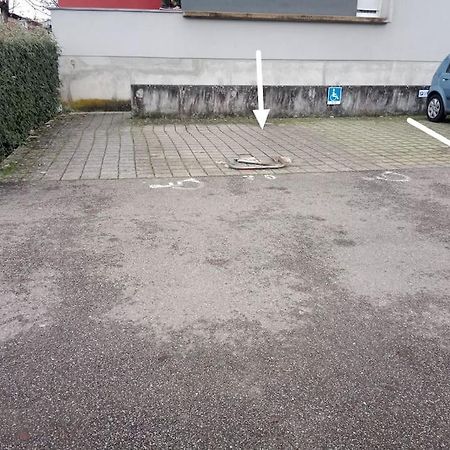 Tres Bel Appartement Rez De Jardin Appart De 53M2. Pfastatt Экстерьер фото