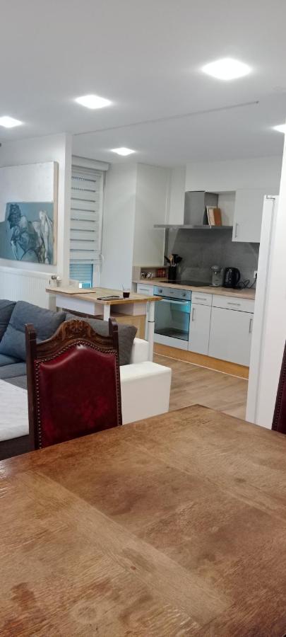 Tres Bel Appartement Rez De Jardin Appart De 53M2. Pfastatt Экстерьер фото